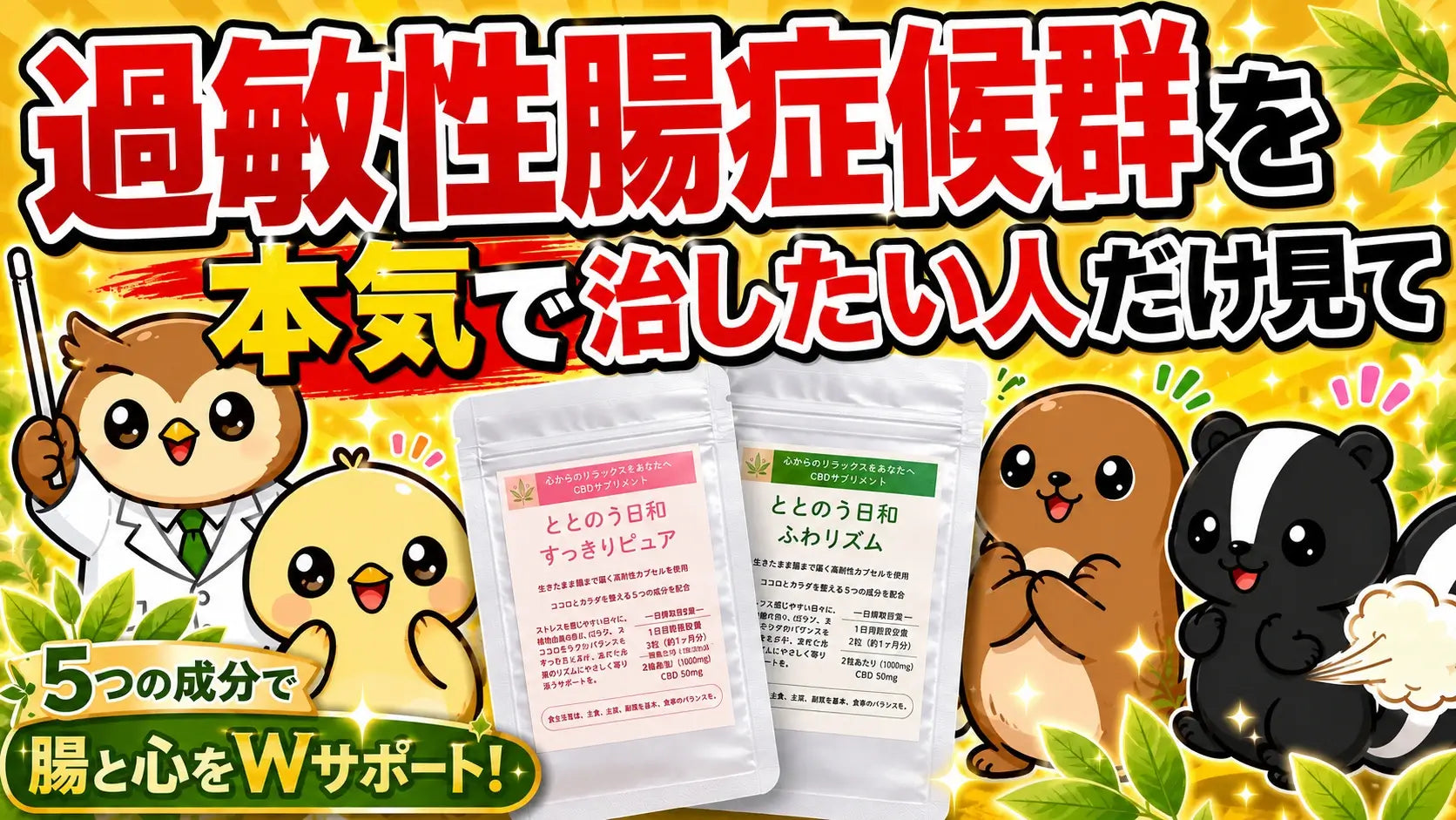 動画を読み込む: 