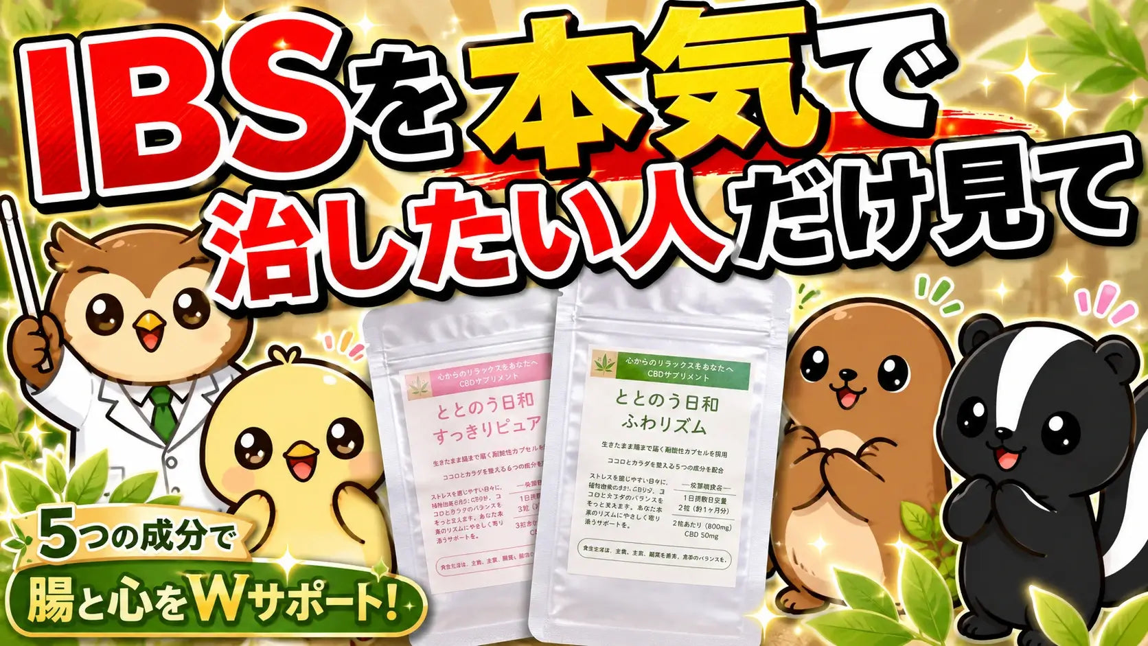 動画を読み込む: 